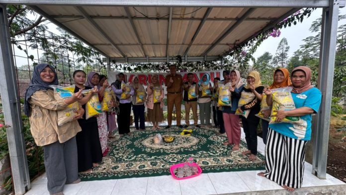 Dinas Pertanian Garut Salurkan Bantuan Benih Padi bagi Petani Terdampak Kekeringan di Bayongbong