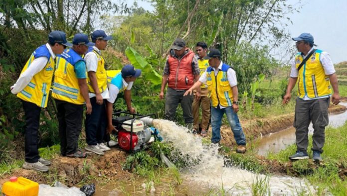 Tangani 42 Hektare Sawah Puso di Garut, BBWS dan Sekolah Sungai Cimanuk Salurkan Pompa Air